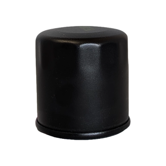 Oljefilter Wright #490650724