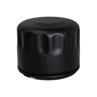 Oljefilter Wright #490650721